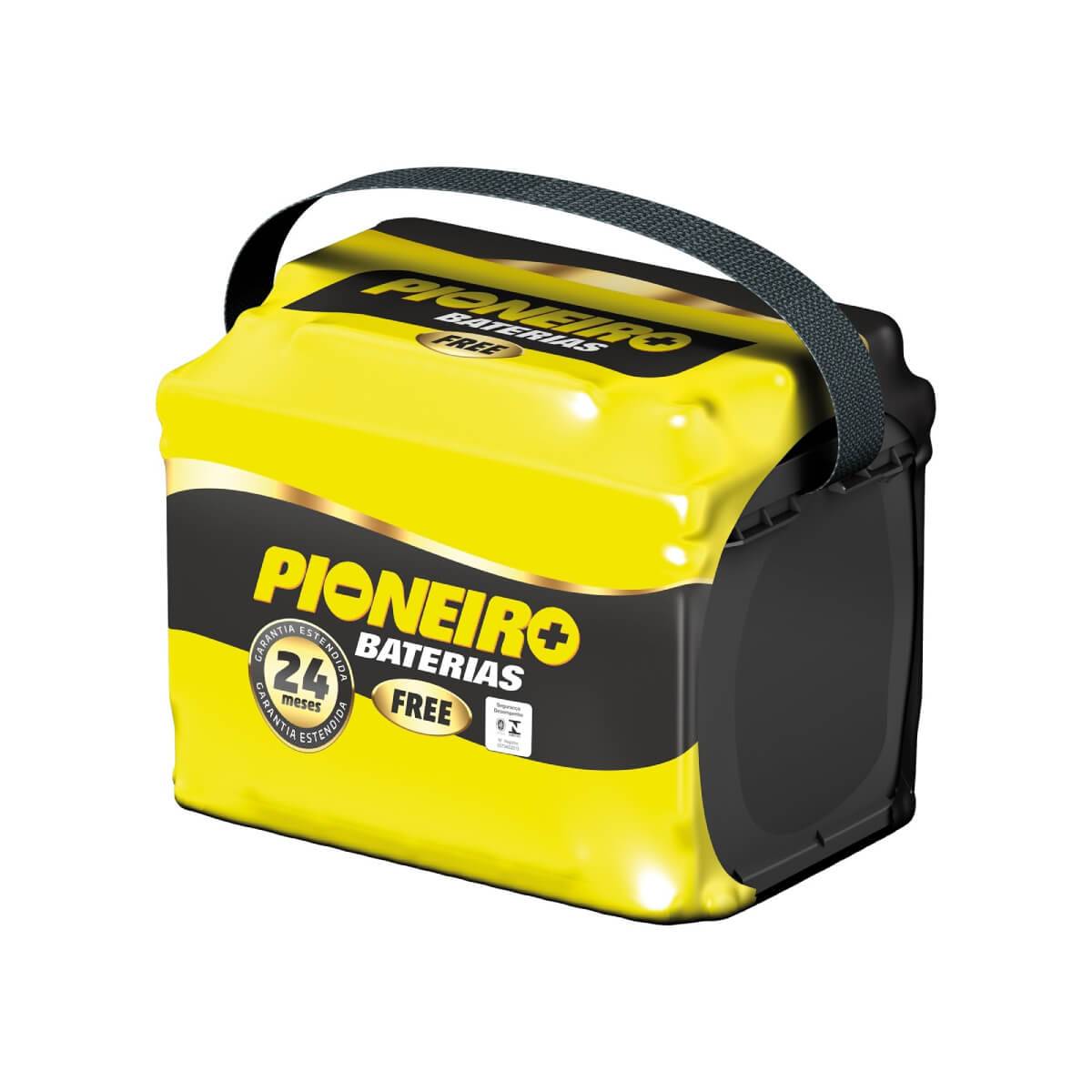 Batería PIONEIRO F65GD